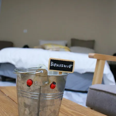 Bed & Breakfast Mas De La Borie -chambre D'hotes Joannas